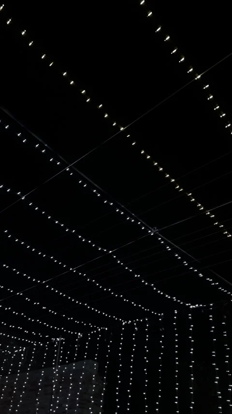Illuminated Street with String Lights at Night Stock Footage 334348211