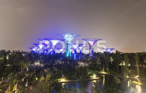 Illuminated Supertrees At Night Gardens By The Bay Singapore Asia