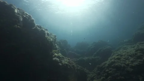Illuminated surface of the sea with rocks in the foreground, Ustica, Med sea Stock Footage 124498384