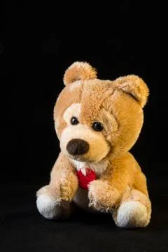 Illuminated teddy bear with studio lights Stock Photos