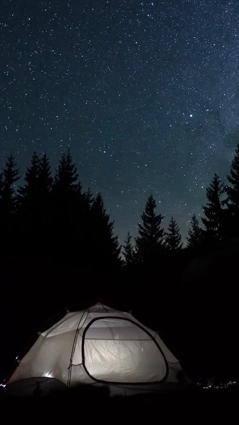 Illuminated tent under starry sky in forest at night, surrounded by tall pine Video stock 314098802