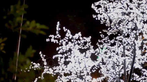 Illuminated tree in Barcelona Stock Footage 120801495