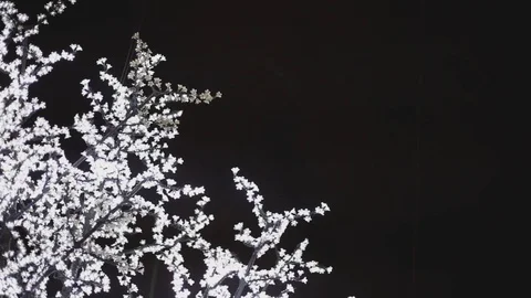 Illuminated tree for Christmas Video stock 120801471