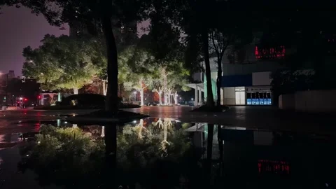 Illuminated Trees and Urban Reflections Stock Footage 259252353