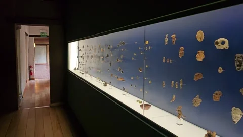 Illuminated Wall Case of Small Pre-Columbian Objects, Casa del Alabado, Ecuador Stock Footage 331493126