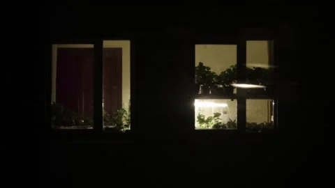 Illuminated windows in dark building facade at night revealing glimpses of Stock Footage 323911480