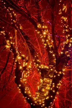 Illumination 2 Stock Photos