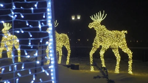 Illumination of the Christmas Deer Stock Footage 101435534
