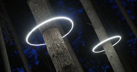 Illumination. Circle-shaped lighting lanterns located around tree trunks Vídeos de archivo 290160335