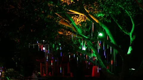 Illumination on  tree like bright rain 스톡 동영상 74170814