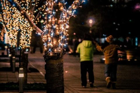 Illumination tree (Christmas) Stock Photos