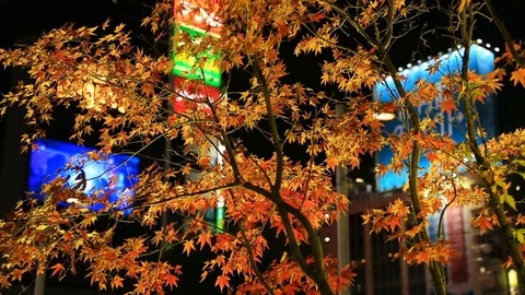 Illuminations in the evening city. Stock Footage 100614938