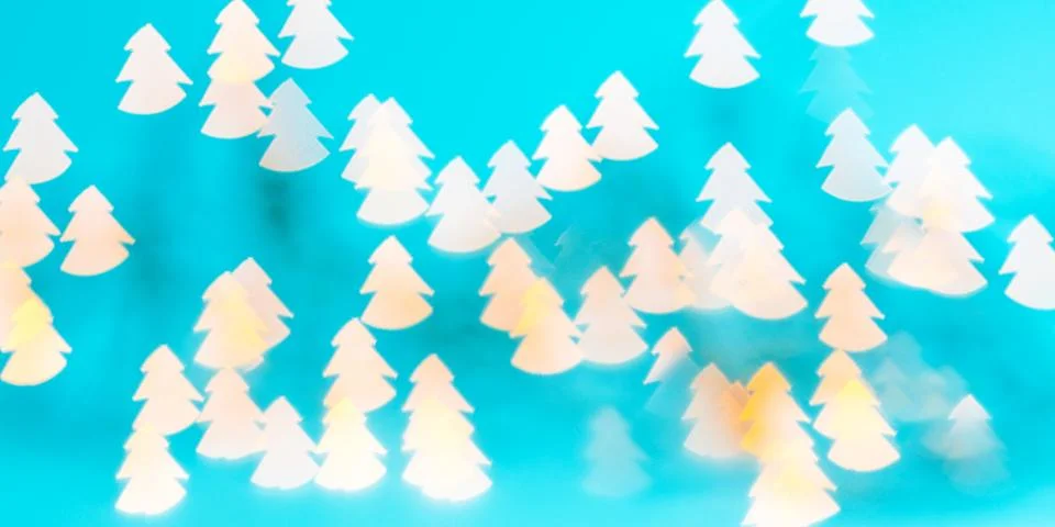 Illusion of winter pine forest Stock Photos