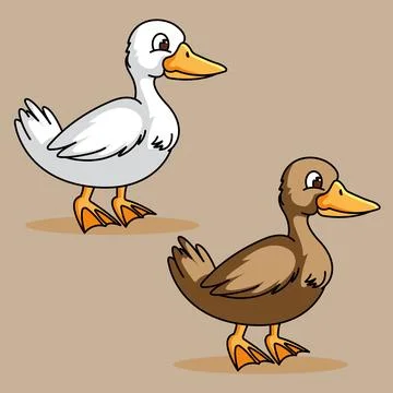 The Illustraion of Duck Stock Illustration