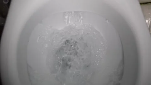 Illustrate the easy steps to a clean and fresh bathroom by flushing the toilet Stock Footage 268741717