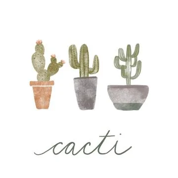 Illustrated Cacti Stock Illustration