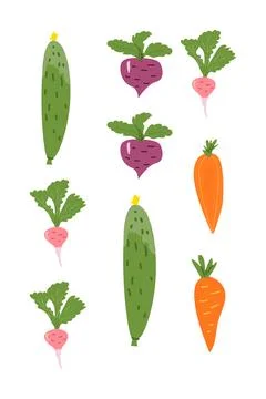Illustrated colorful vegetables pattern featuring radishes, beets, cucumbers, Stock Illustration