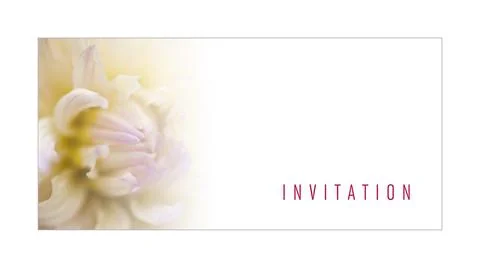 Illustrated message for an invitation Stock Photos