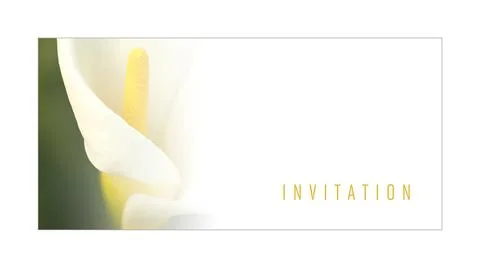 Illustrated message for an invitation 写真素材