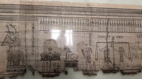 Illustrated papyrus from Book of the Dead for Priest of Bastet, Djoser, on displ Stock Footage 313989230