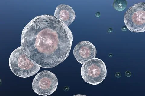 Illustratiion of human cells Illustrazione stock