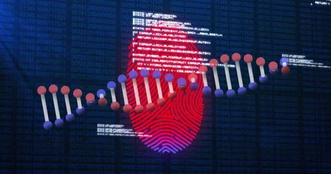 Illustrating digital security, DNA strand and fingerprint over binary code Stock Footage 303947844