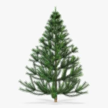 Illustration 3D Conifer Tree 150cm Xmas Decor Stock Illustration
