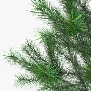 Illustration 3D Conifer Tree 150cm Xmas Decor Stock Illustration