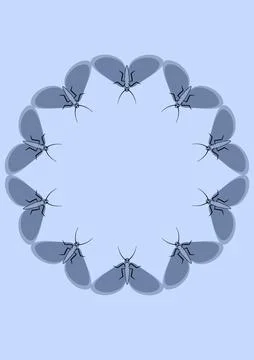 Illustration on A4 format - frames of moths. Design element for the design of Stock Illustration