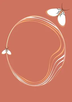 Illustration on A4 format - frames of moths. Design element for the design of Illustrazione stock