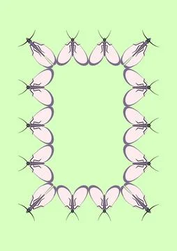 Illustration on A4 format - frames of moths. Design element for the design of イラスト素材