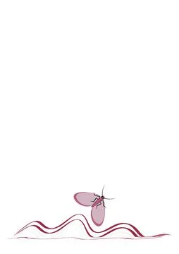 Illustration on A4 format - frames of moths. Design element for the design of Stock Illustration