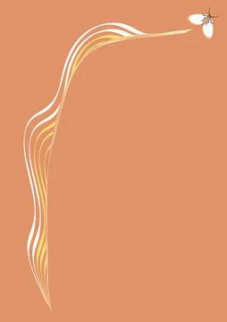 Illustration on A4 format - frames of moths. Design element for the design of Stock Illustration