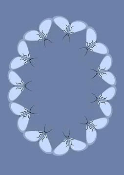 Illustration on A4 format - frames of moths. Design element for the design of イラスト素材
