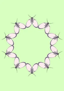 Illustration on A4 format - frames of moths. Design element for the design of Stockillustratie