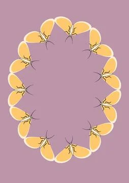 Illustration on A4 format - frames of moths. Design element for the design of Stock Illustration