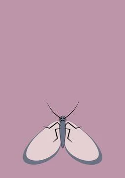 Illustration on A4 format - frames of moths. Design element for the design of Stockillustratie