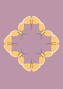 Illustration on A4 format - frames of moths. Design element for the design of イラスト素材