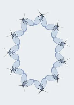 Illustration on A4 format - frames of moths. Design element for the design of イラスト素材