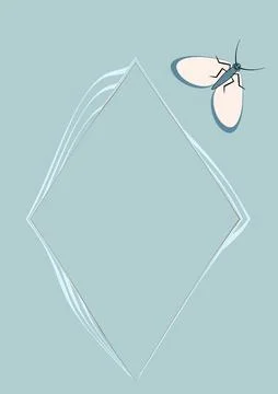Illustration on A4 format - frames of moths. Design element for the design of Stockillustratie