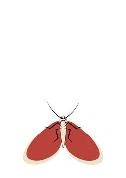 Illustration on A4 format - frames of moths. Design element for the design of 스톡 일러스트
