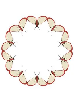 Illustration on A4 format - frames of moths. Design element for the design of Stock Illustration