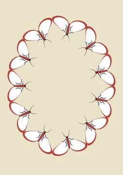 Illustration on A4 format - frames of moths. Design element for the design of イラスト素材