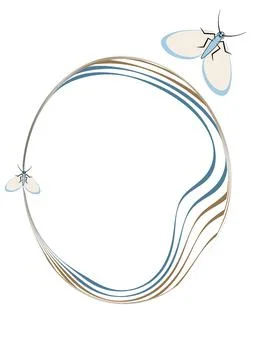 Illustration on A4 format - frames of moths. Design element for the design of Stock Illustration