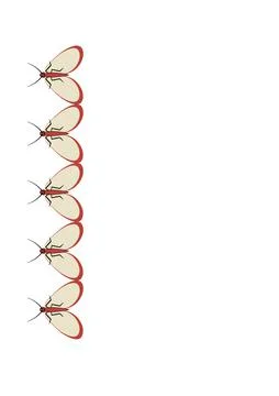 Illustration on A4 format - frames of moths. Design element for the design of Stock-Illustration