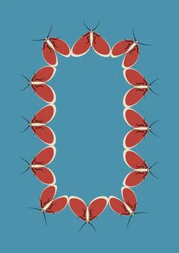 Illustration on A4 format - frames of moths. Design element for the design of Stock Illustration