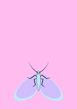 Illustration on A4 format - frames of moths. Design element for the design of Illustrazione stock