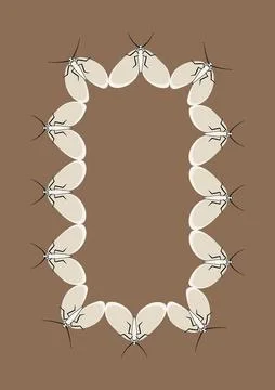 Illustration on A4 format - frames of moths. Design element for the design of イラスト素材
