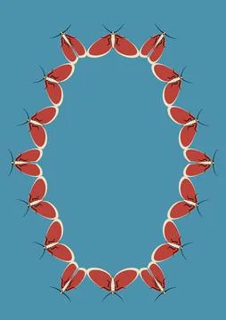 Illustration on A4 format - frames of moths. Design element for the design of Stock Illustration