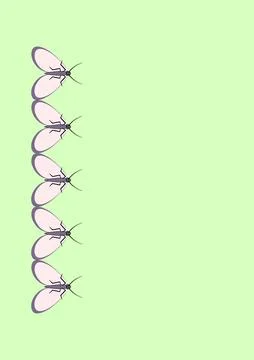 Illustration on A4 format - frames of moths. Design element for the design of Stock Illustration